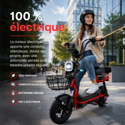 Électrique E-Mob 25